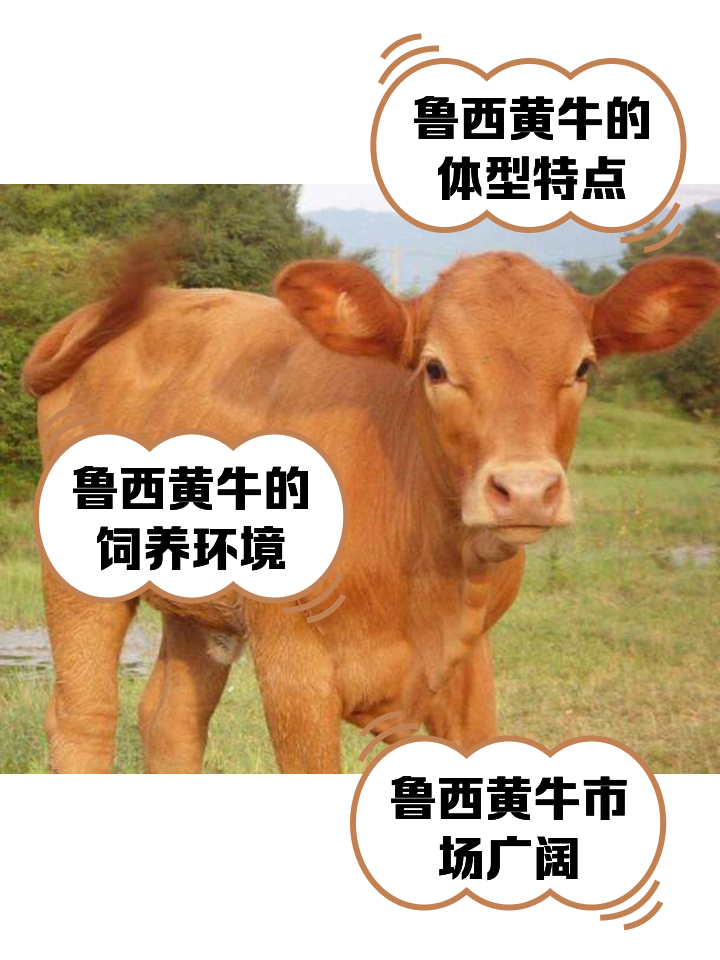 滕州最新医保取现黄牛方法分析(最方便真实的滕州医保取现黄牛怎么取方法)